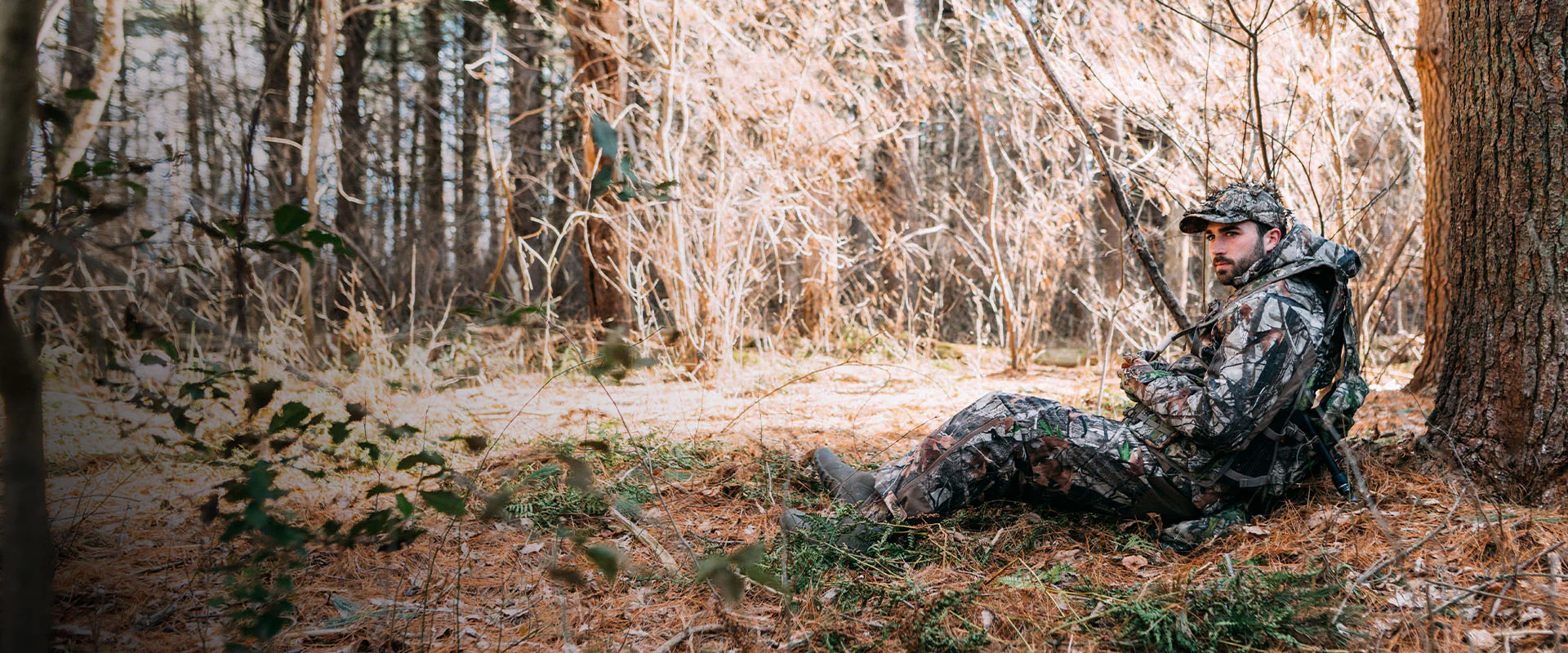 Master the Wild with TideWe